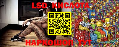 стаф Брянск