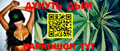 стаф Брянск